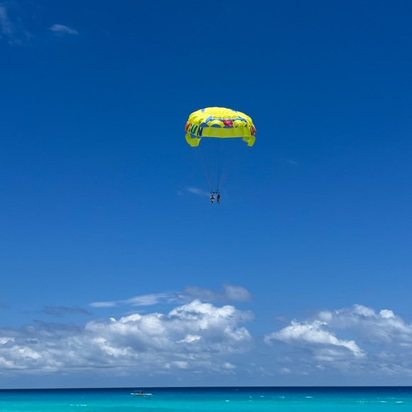 Meet your Posher, Sally - Picture 10 of 11